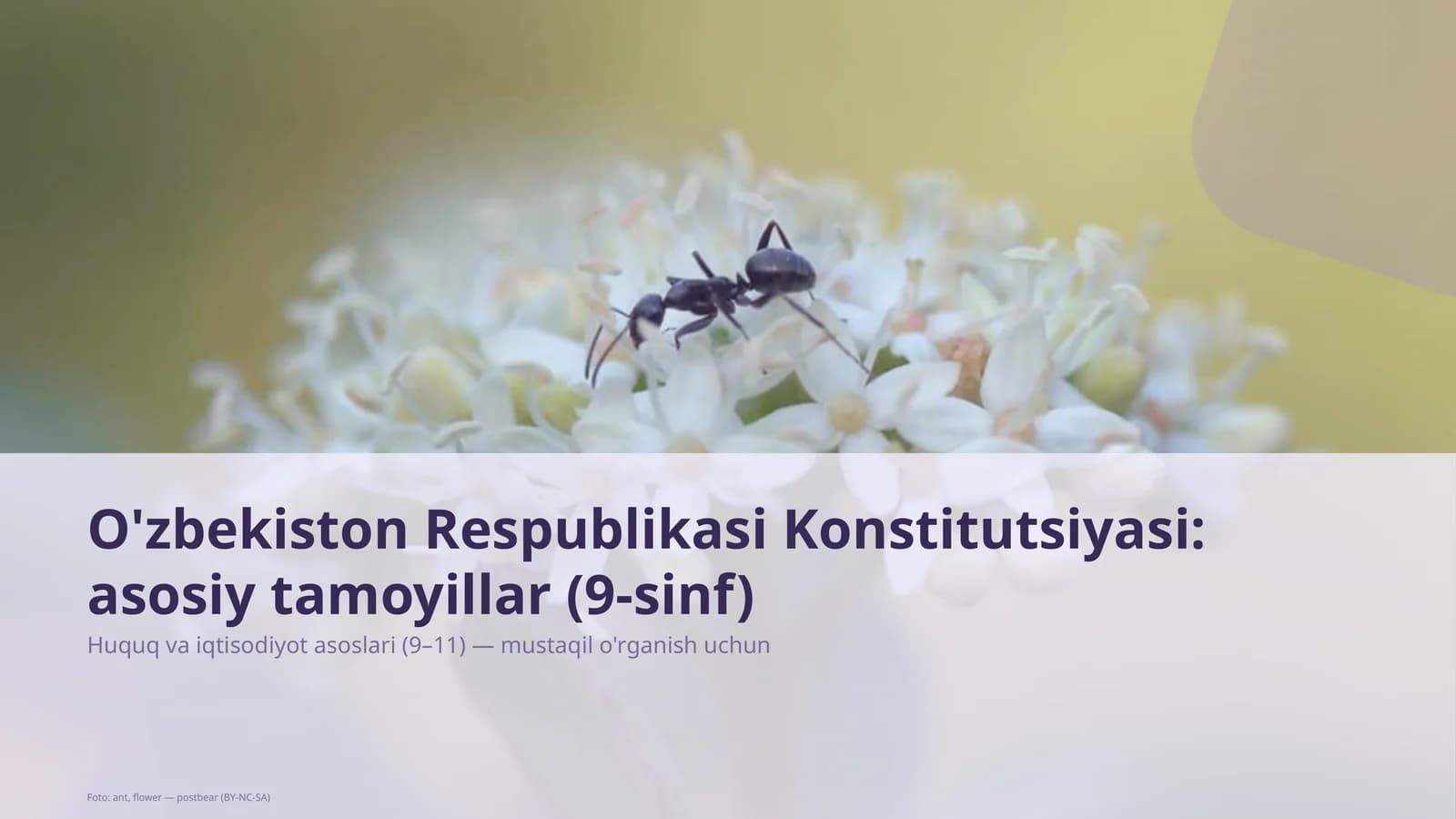 O'zbekiston Respublikasi Konstitutsiyasi: asosiy tamoyillar (9-sinf)