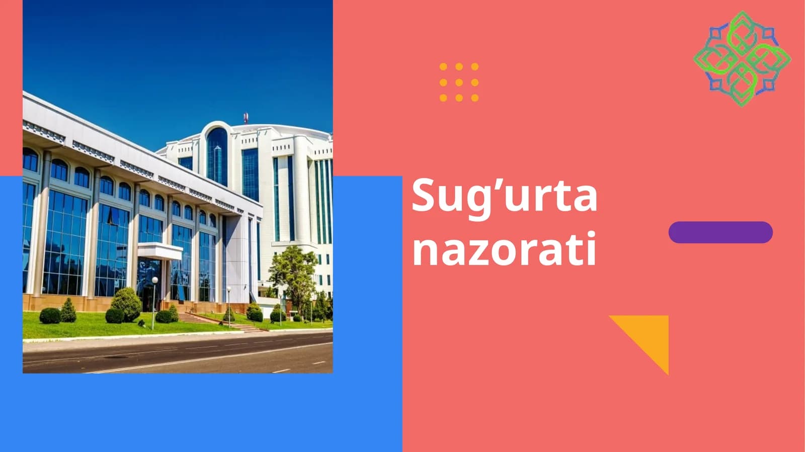 Sug’urta nazorati