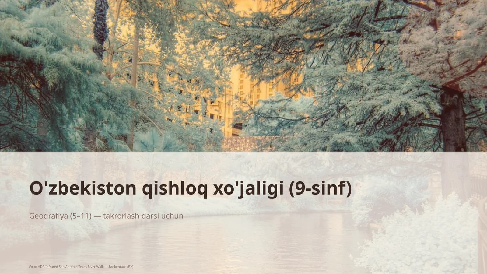 O'zbekiston qishloq xo'jaligi (9-sinf)
