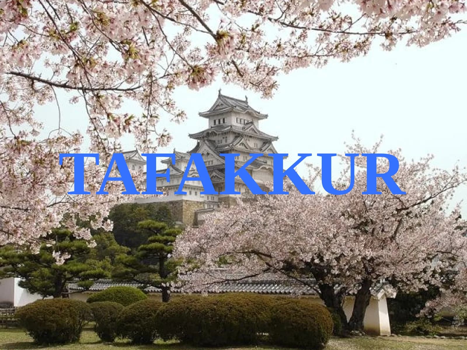 TAFAKKUR