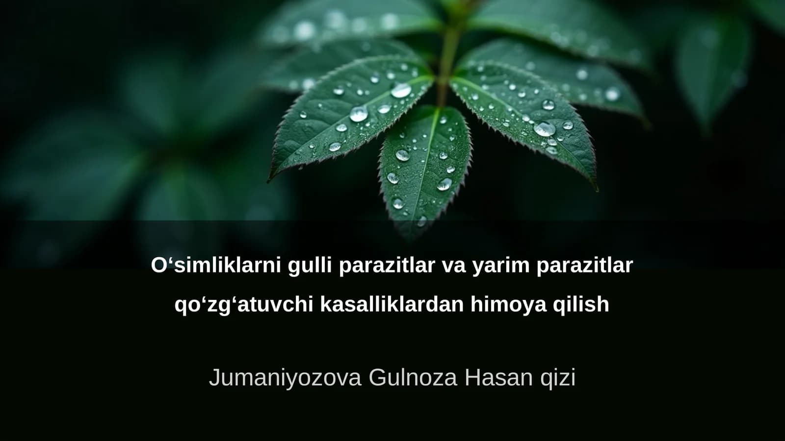 O‘simliklarni gulli parazitlar va yarim parazitlar qo‘zg‘atuvchi kasalliklardan himoya qilish