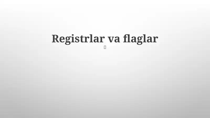 Registrlar va flaglar