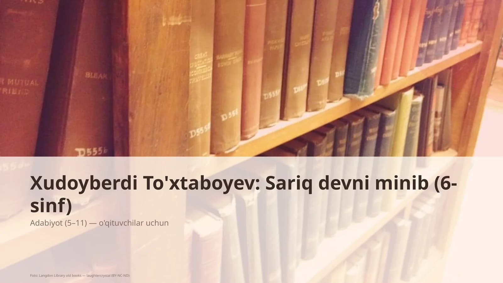 Sariq devni minib (6-sinf)