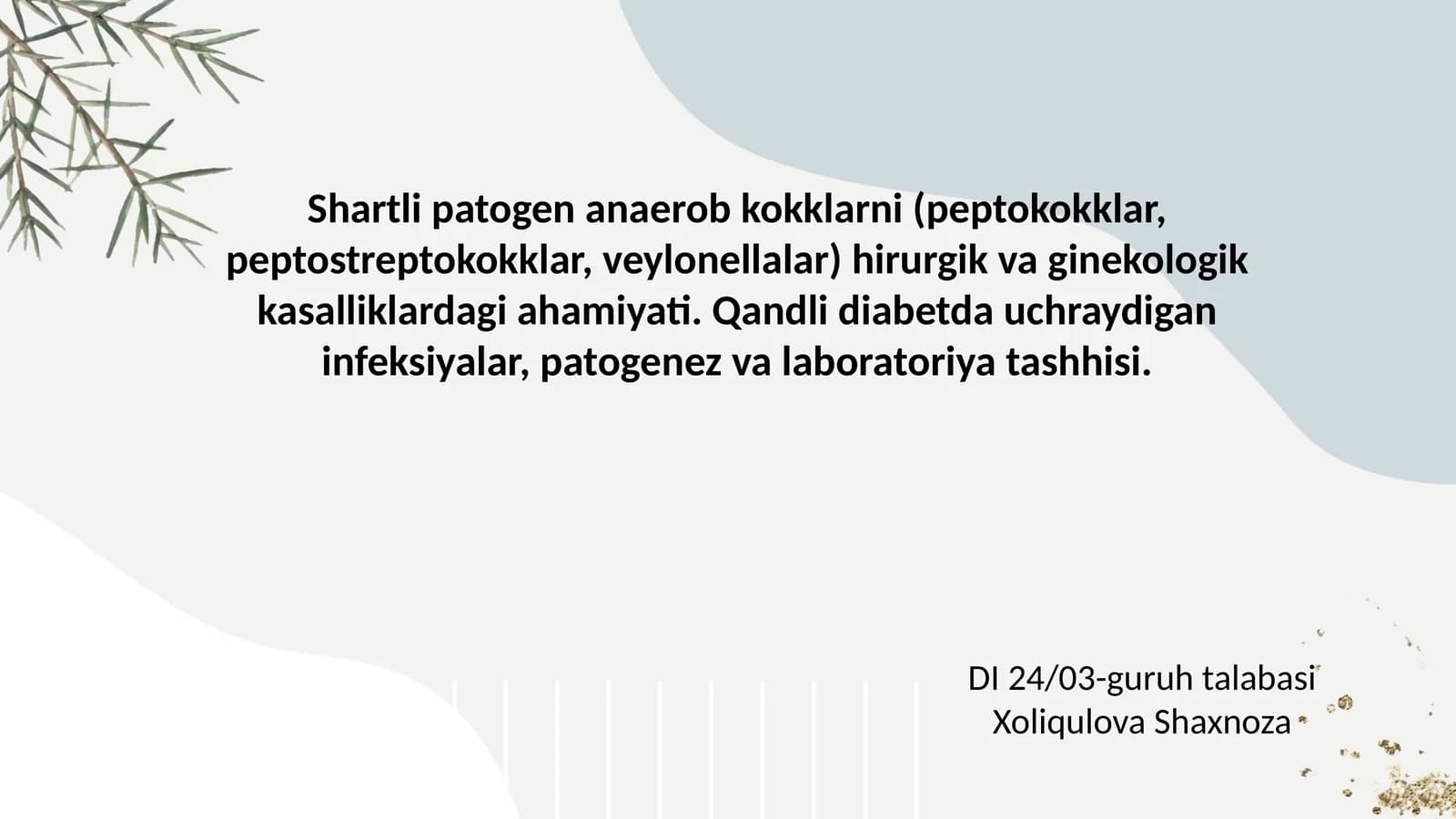 Shartli patogen anaerob kokklarni hirurgik va ginekologik kasalliklardagi ahamiyati