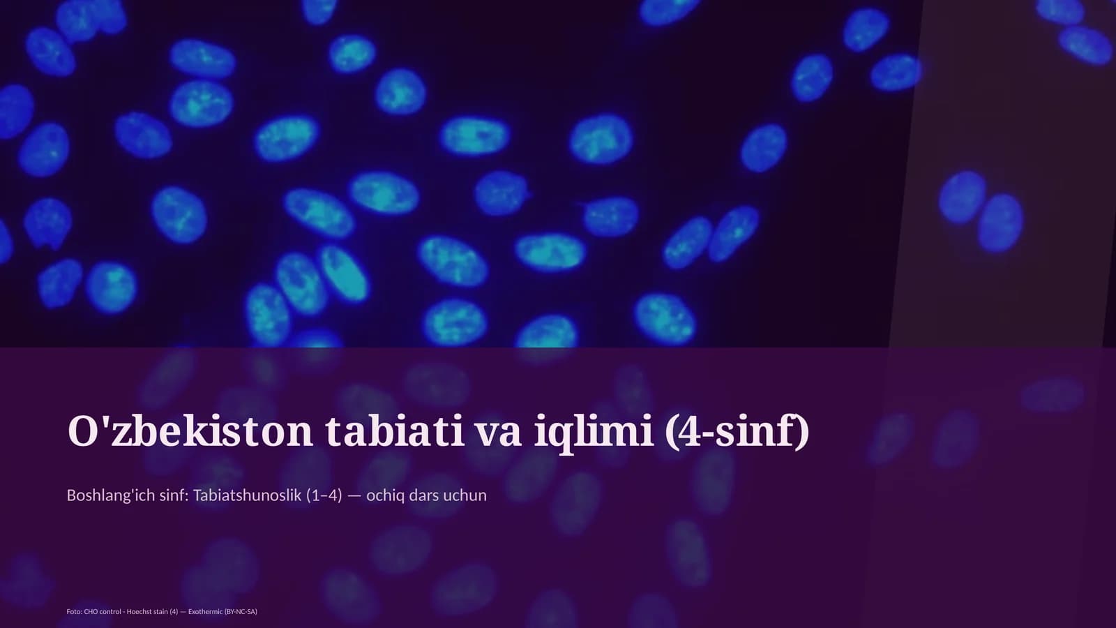 O'zbekiston tabiati va iqlimi (4-sinf)