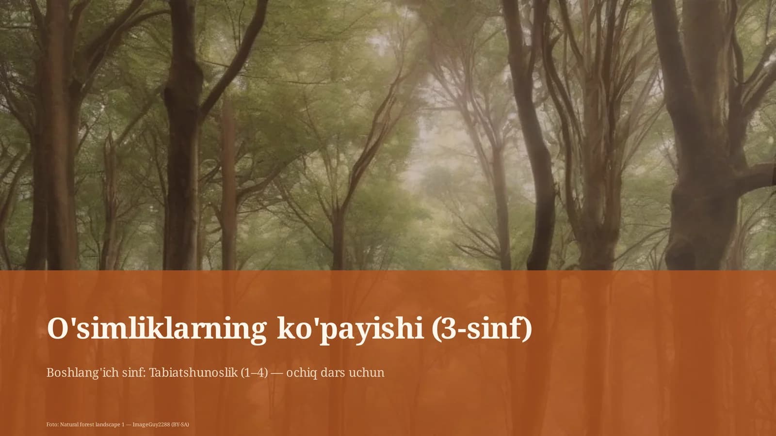 O'simliklarning ko'payishi (3-sinf)