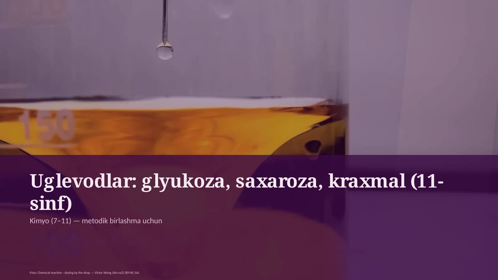 Uglevodlar: glyukoza, saxaroza, kraxmal (11-sinf)