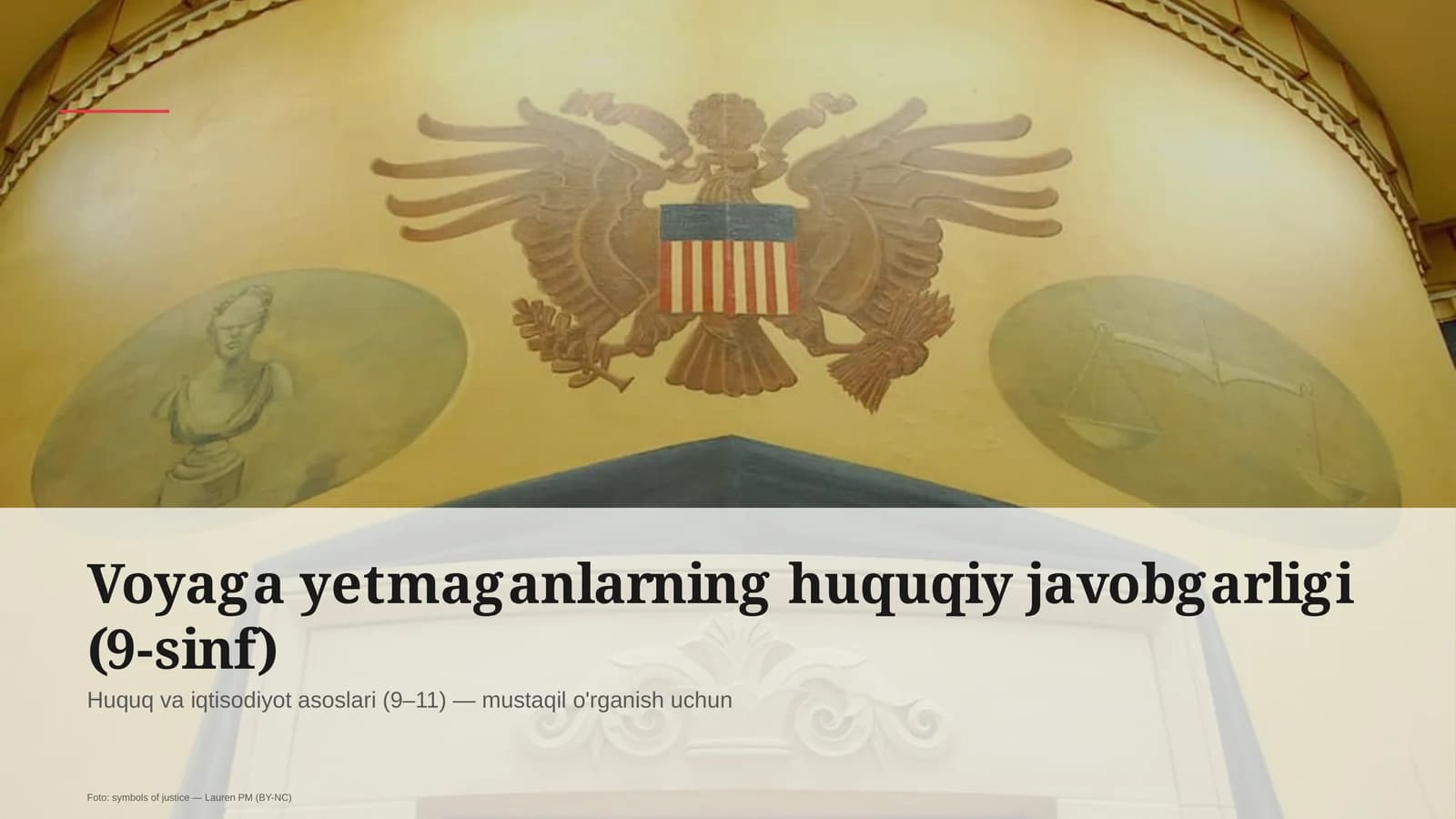Voyaga yetmaganlarning huquqiy javobgarligi (9-sinf)