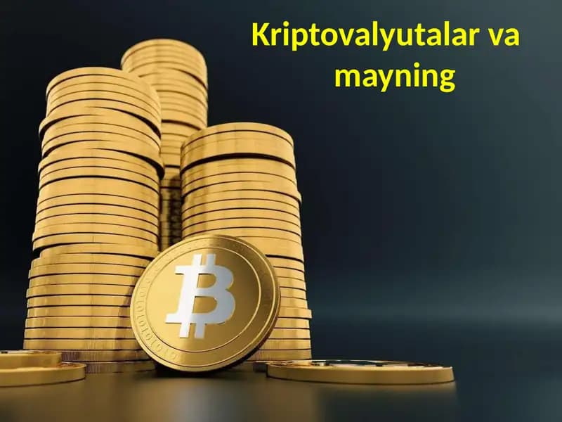 Kriptovalyutalar va Mayning