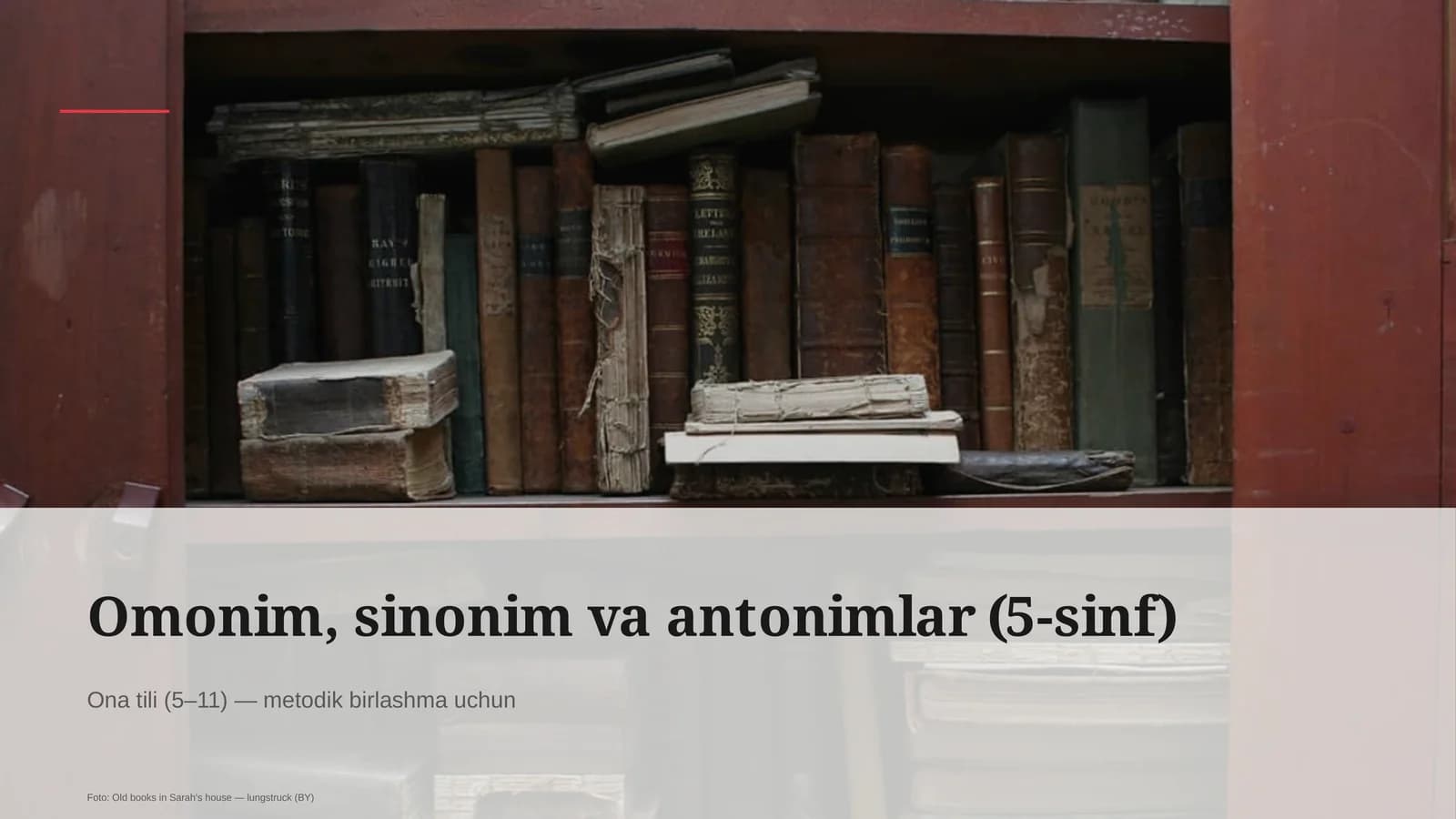 Omonim, sinonim va antonimlar (5-sinf)