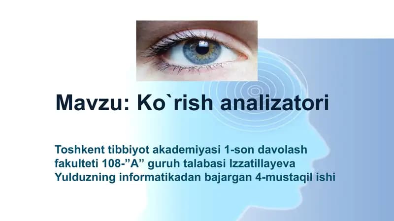 Ko`rish analizatori