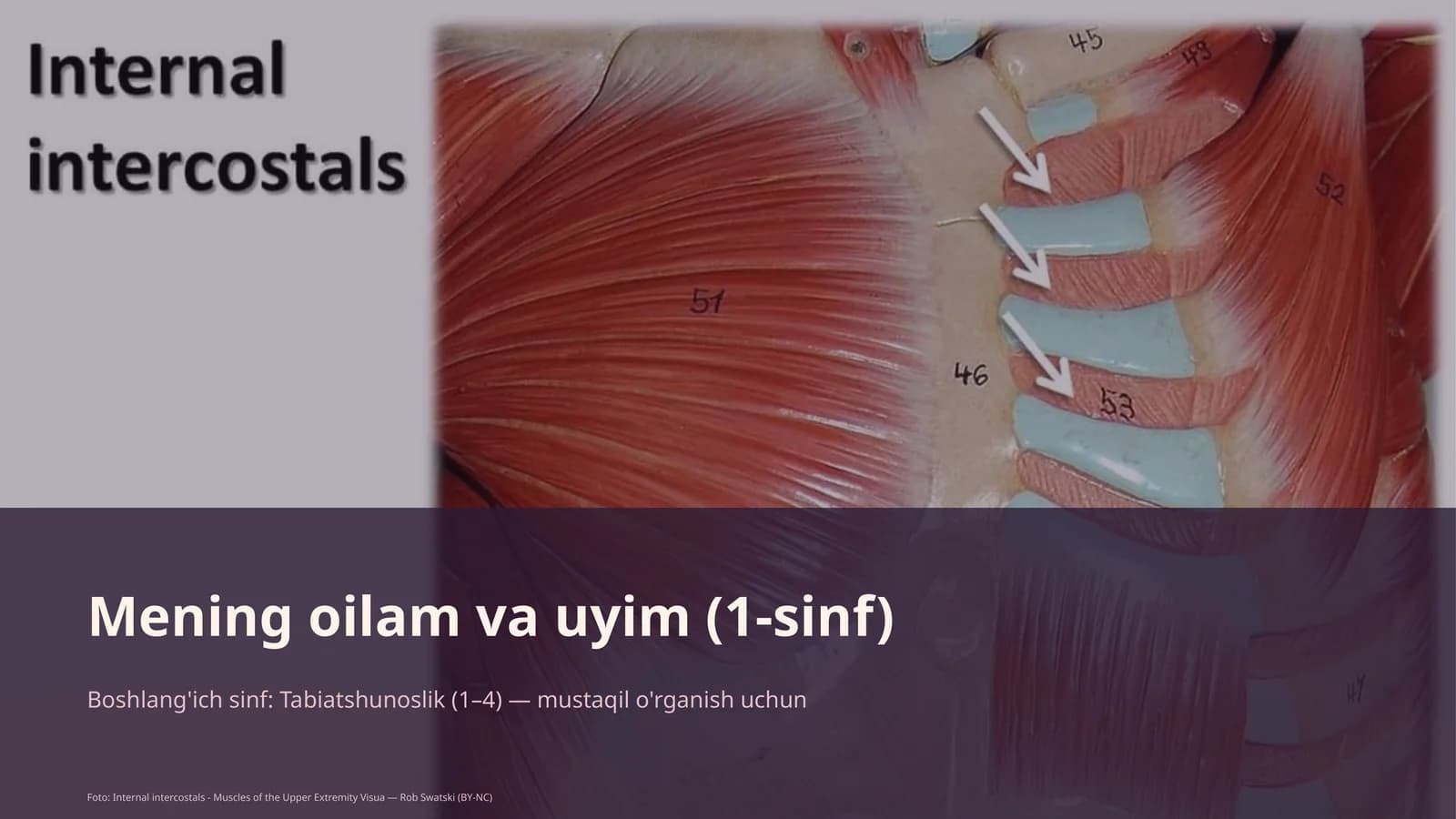 Mening oilam va uyim (1-sinf)