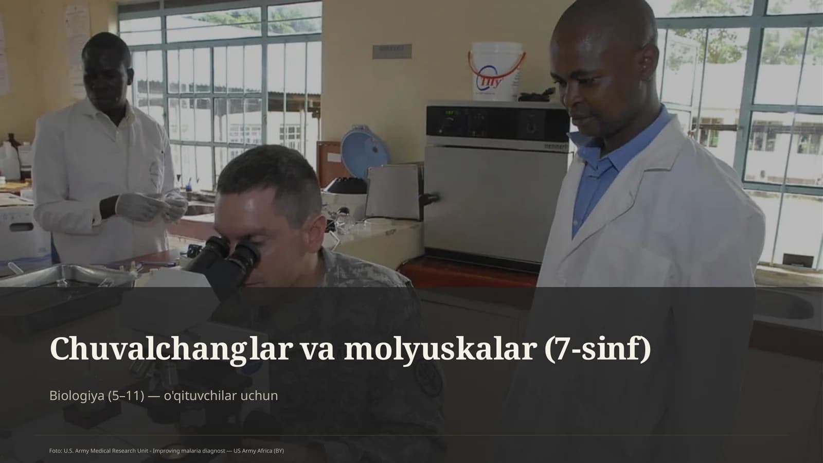 Chuvalchanglar va molyuskalar (7-sinf)
