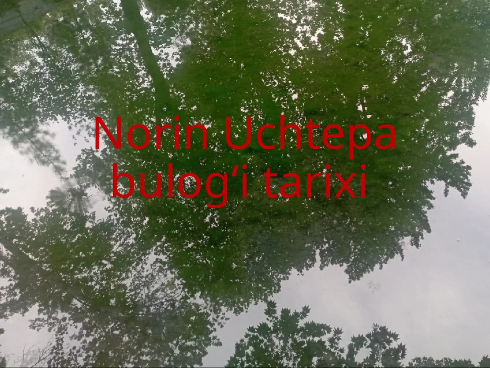 Norin Uchtepa bulogʻi tarixi
