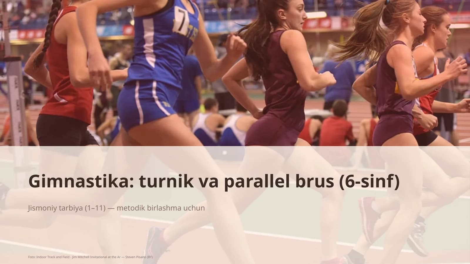 Gimnastika: turnik va parallel brus (6-sinf)