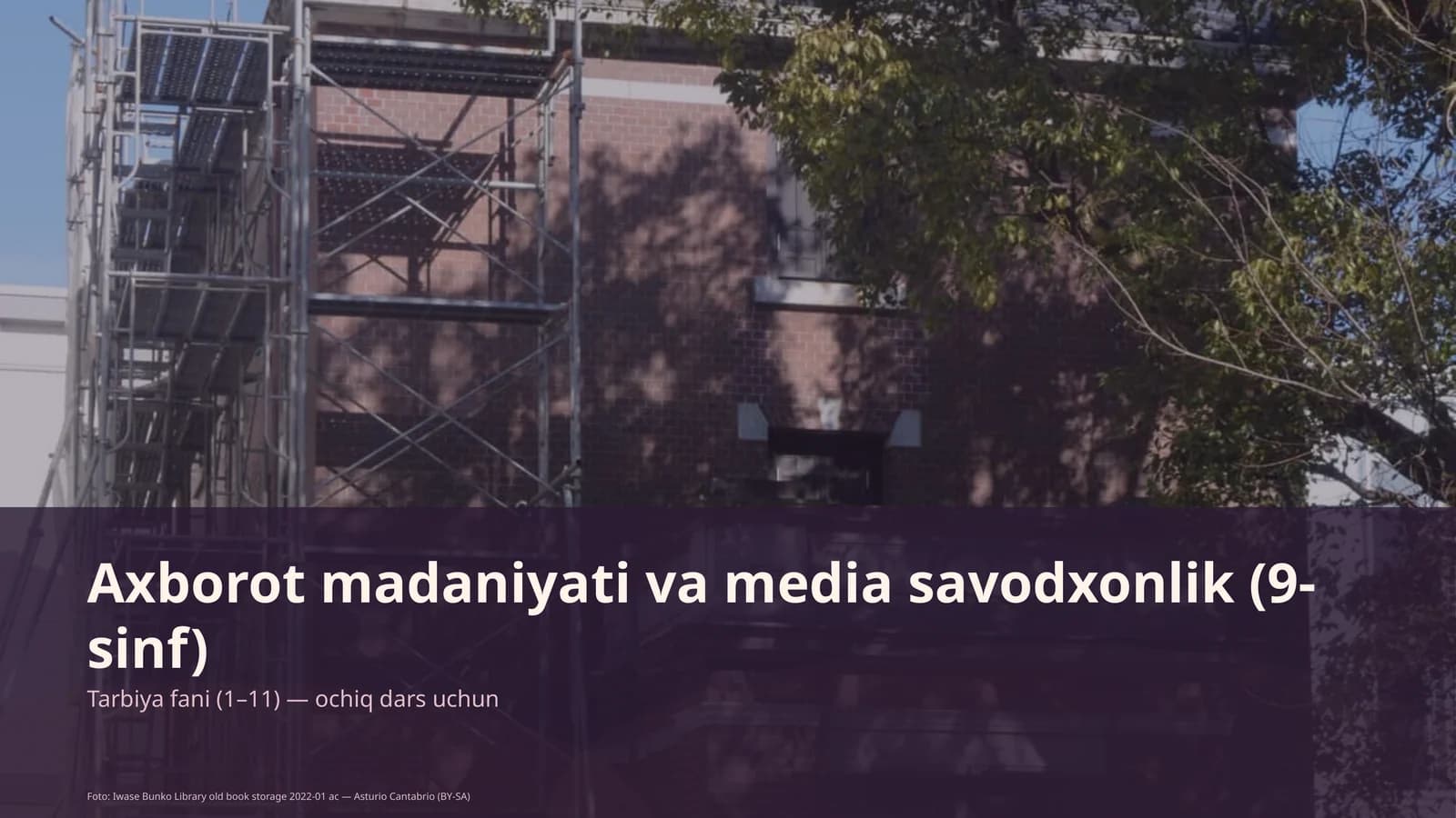 Axborot madaniyati va media savodxonlik (9-sinf)