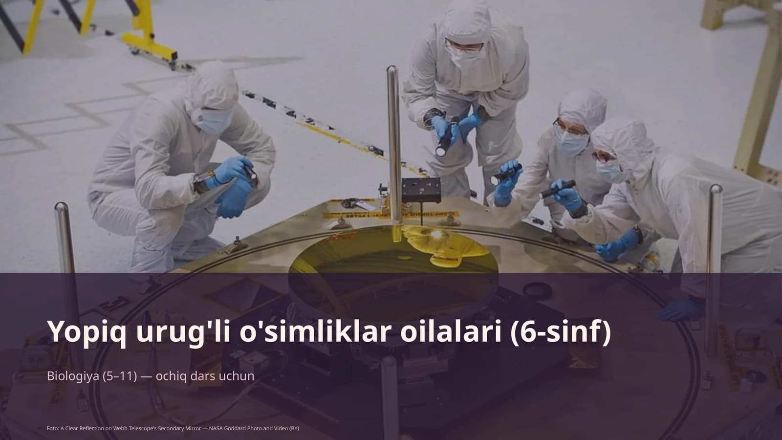 Yopiq urug'li o'simliklar oilalari (6-sinf)
