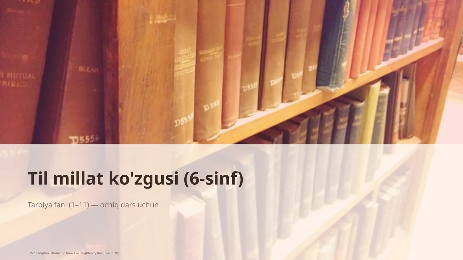 Til millat ko'zgusi (6-sinf)