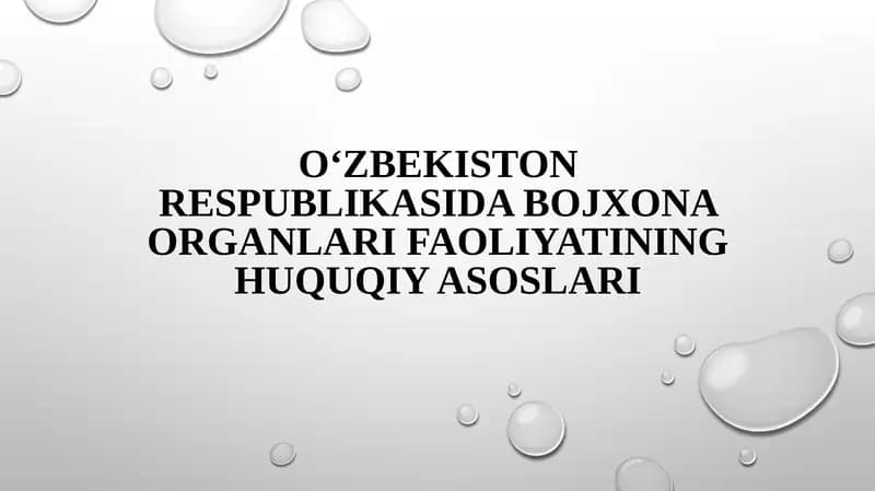O‘zbekiston Respublikasi bo‘jxona organlarining faoliyatining huquqiy asoslari