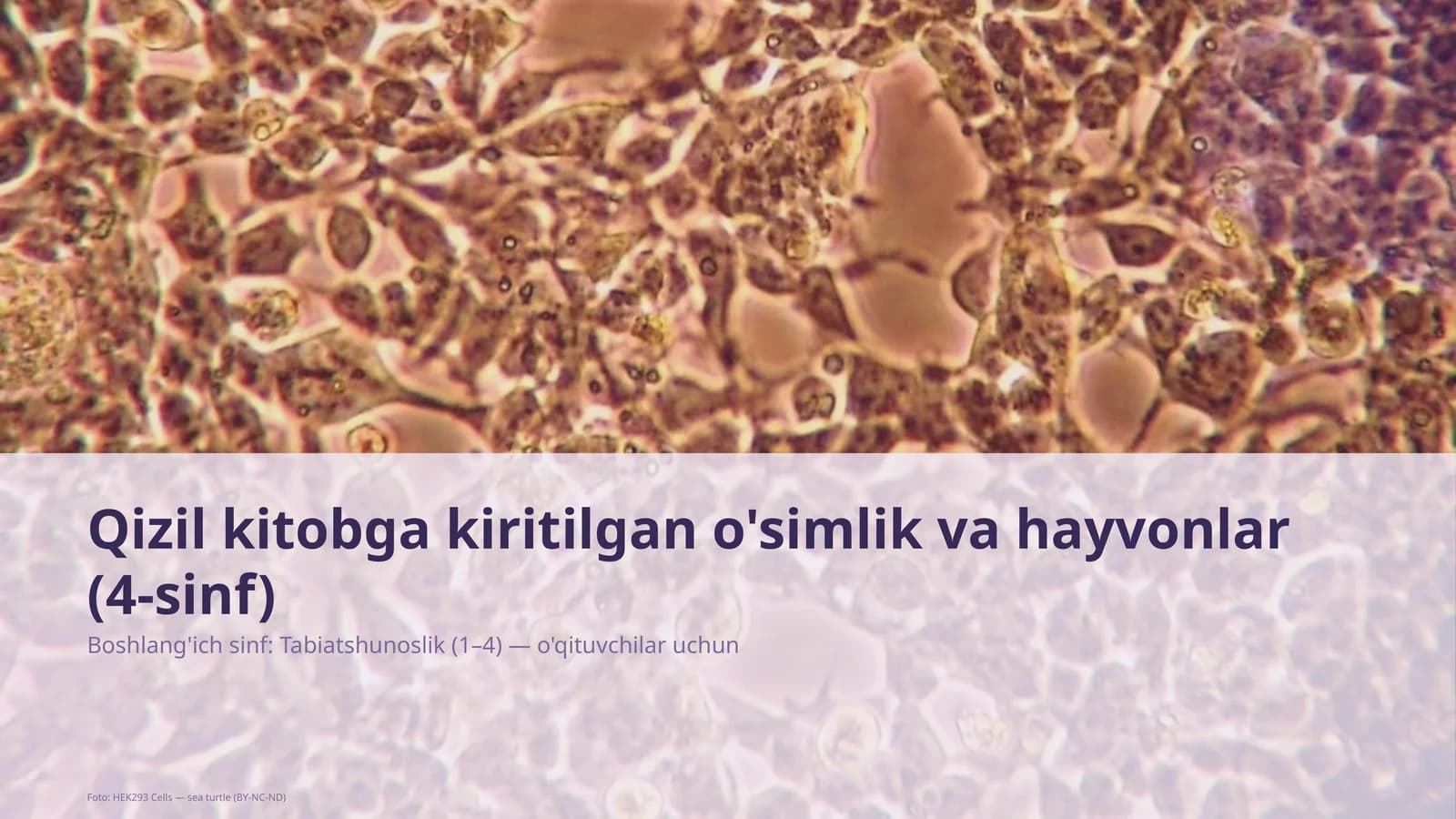 Qizil kitobga kiritilgan o'simlik va hayvonlar (4-sinf)