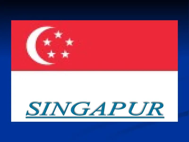 Singapur ta’lim tizimi