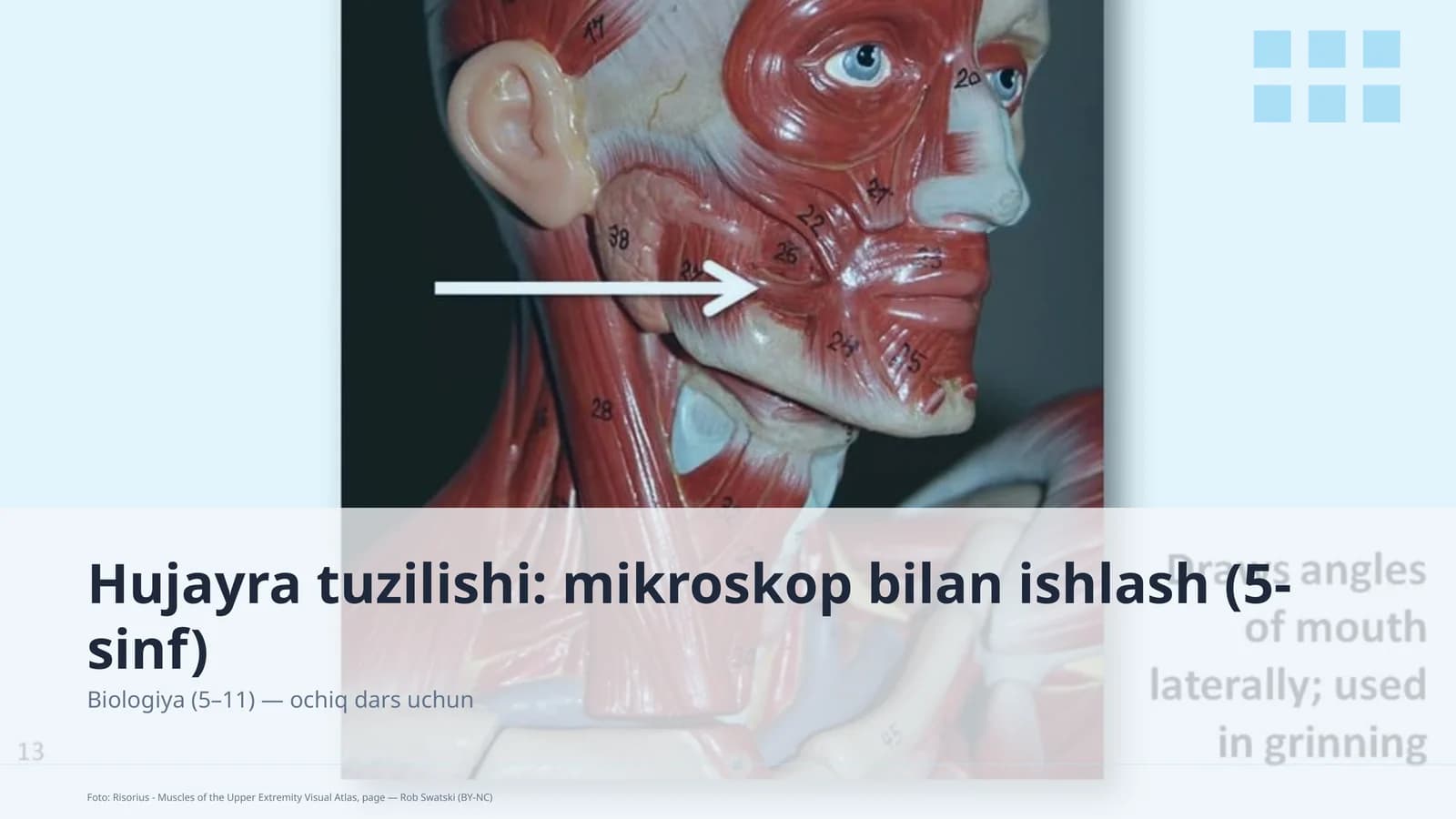 Hujayra tuzilishi: mikroskop bilan ishlash (5-sinf)