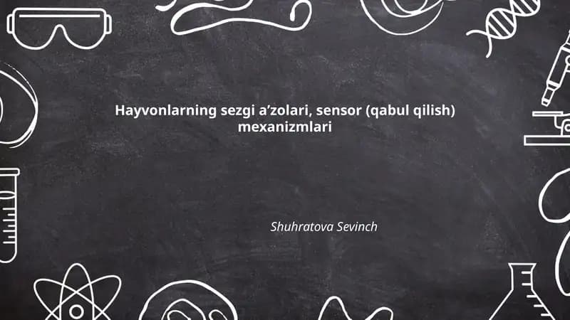 Hayvonlarning sezgi aʼzolari, sensor (qabul qilish) mexanizmlari