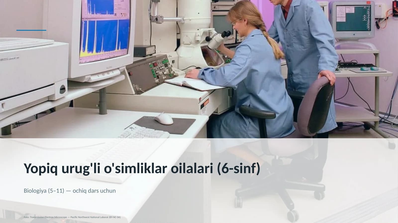 Yopiq urug'li o'simliklar oilalari (6-sinf)