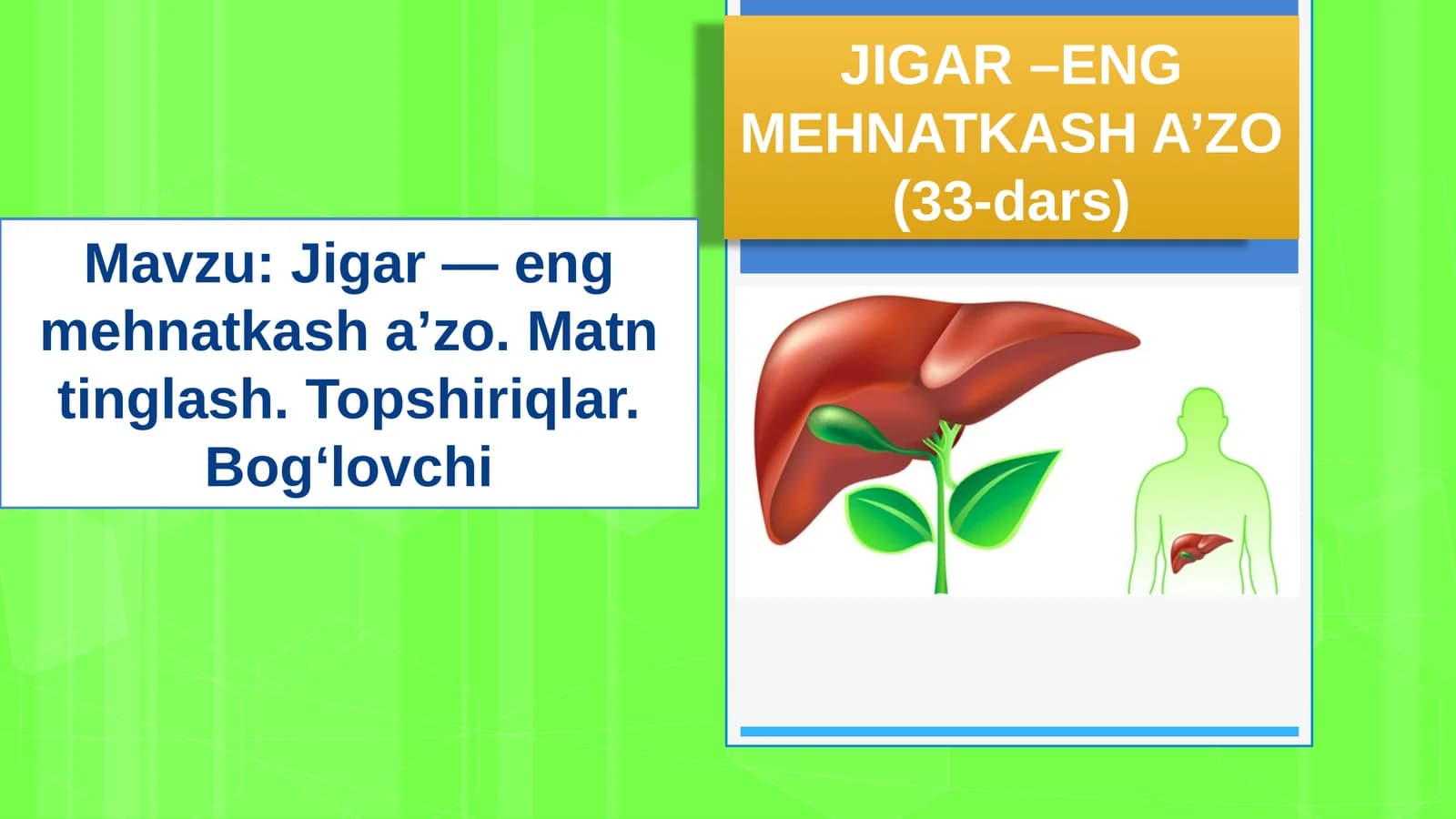 JIGAR –ENG MEHNATKASH A’ZO (33-dars)