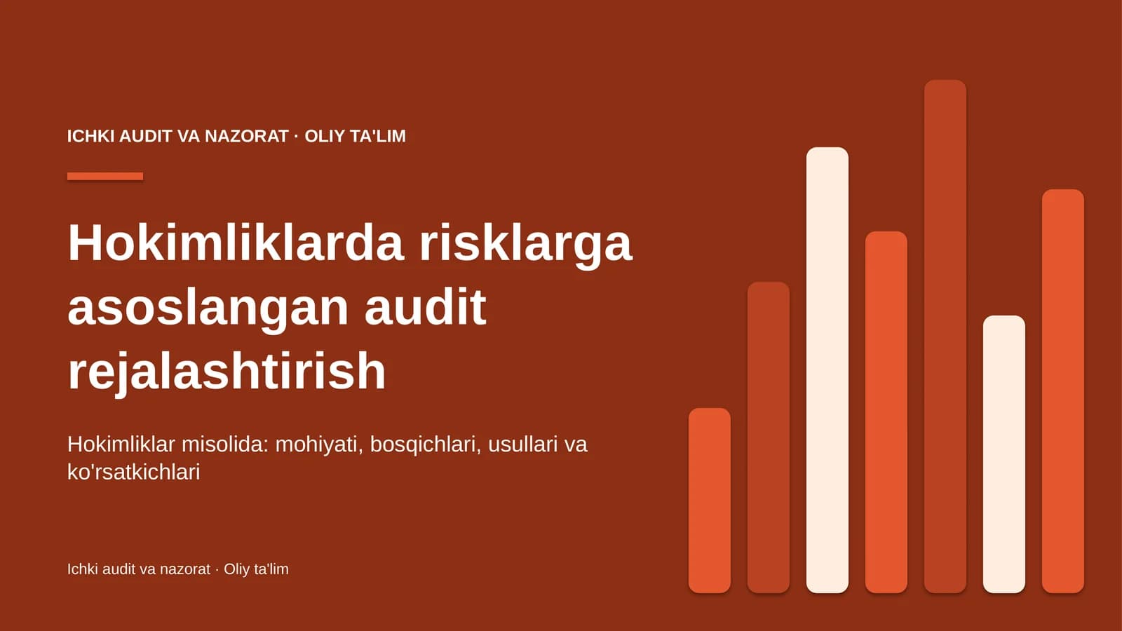 Hokimliklarda risklarga asoslangan audit rejalashtirish