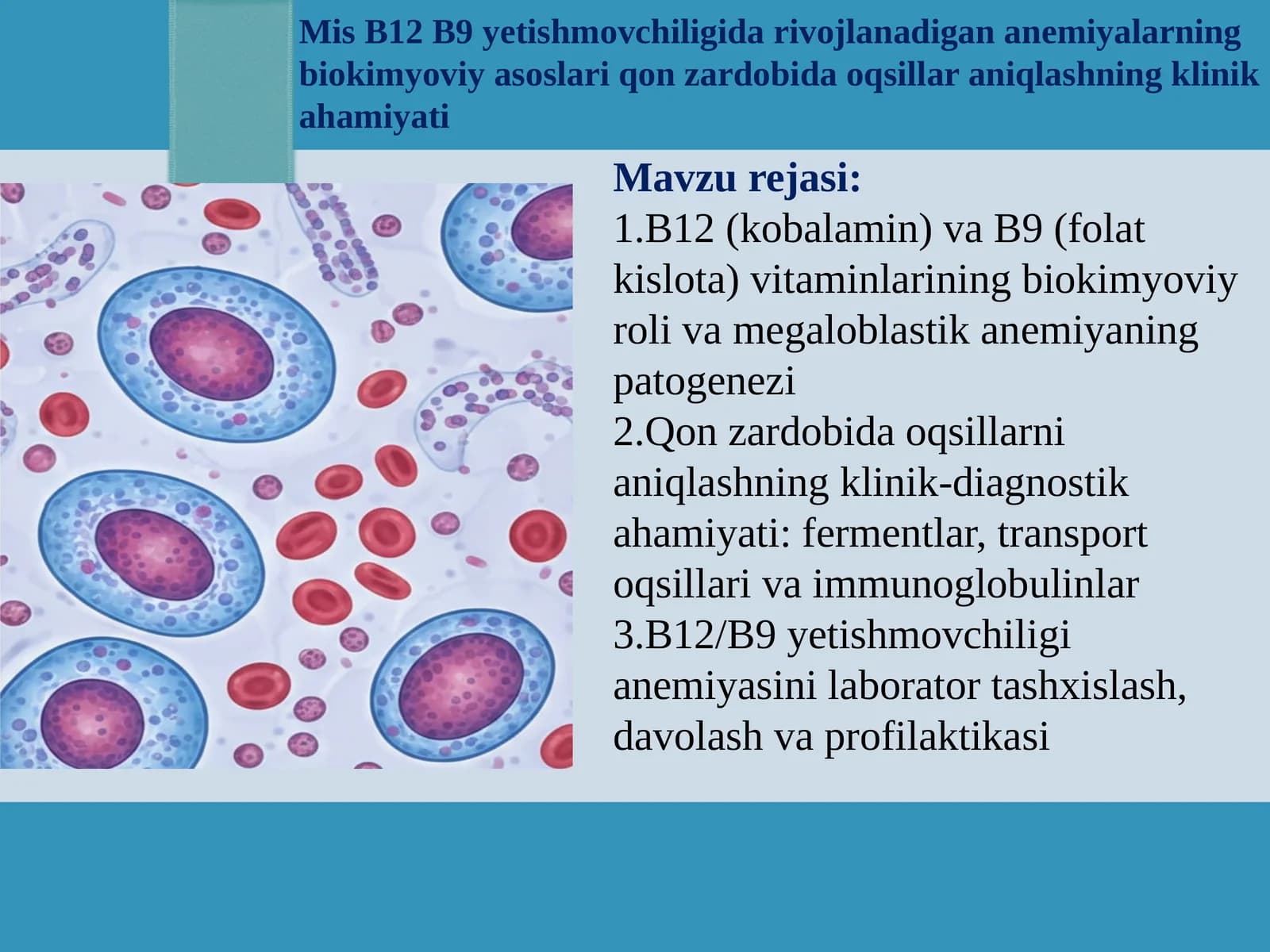 Mis B12 B9 yetishmovchiligida rivojlanadigan anemiyalarning biokimyoviy asoslari qon zardobida oqsillar aniqlashning klinik ahamiyati  prezentatsiya