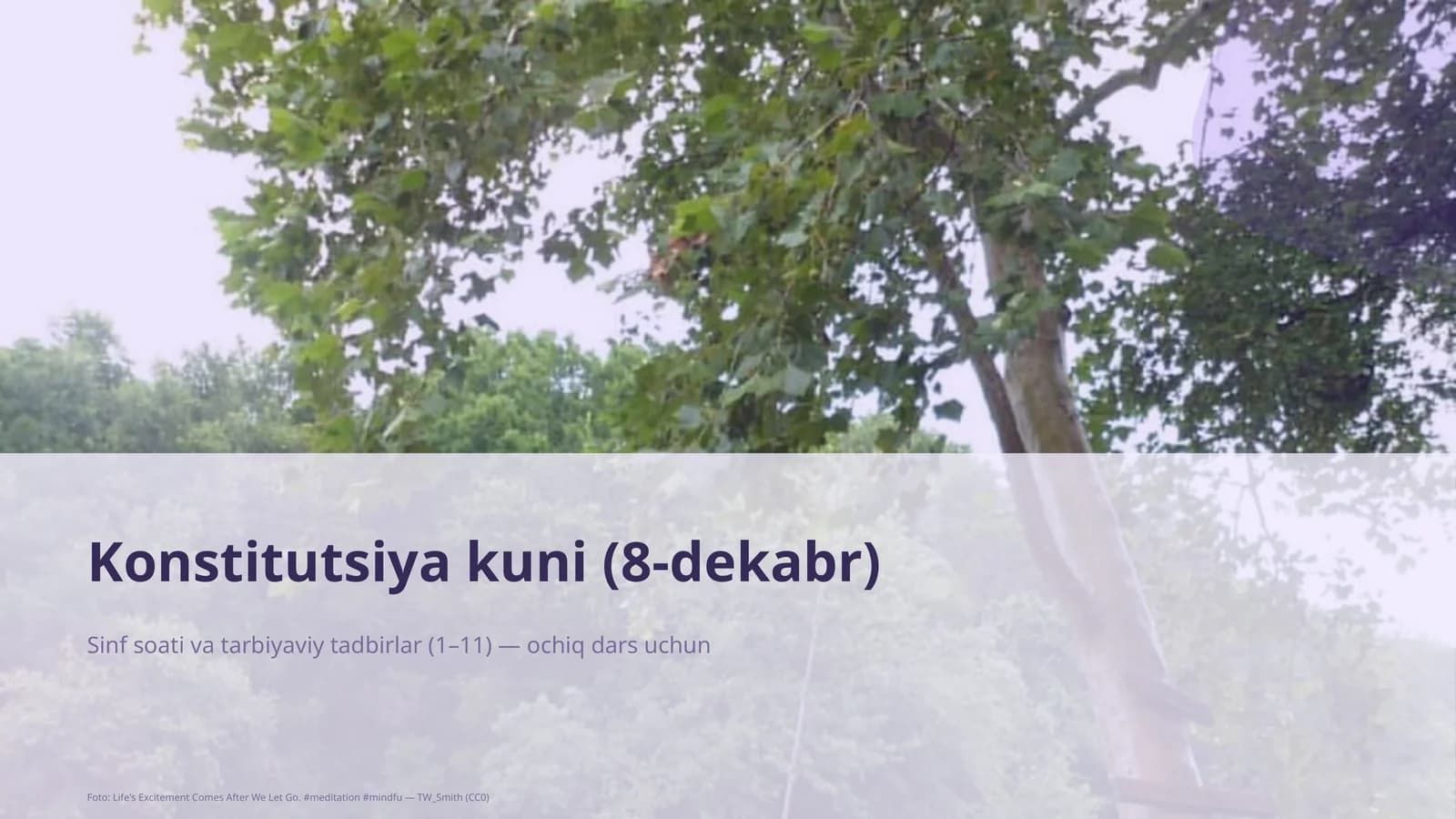 Konstitutsiya kuni (8-dekabr)