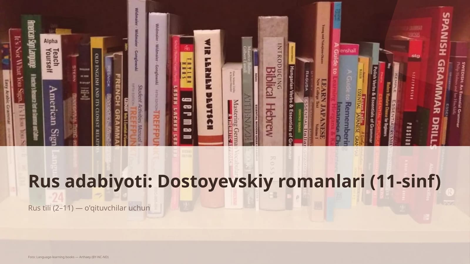 Rus adabiyoti: Dostoyevskiy romanlari (11-sinf)