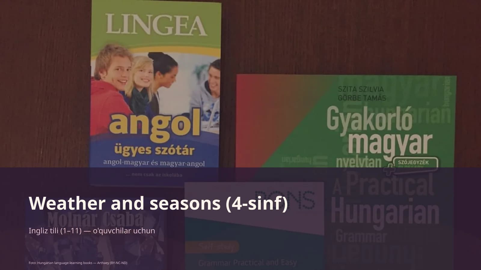 Weather and seasons (4-sinf)