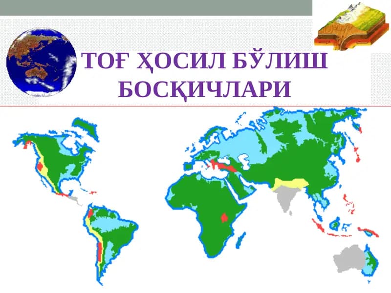 ТОҒ ҲОСИЛ БЎЛИШ БОСҚИЧЛАРИ