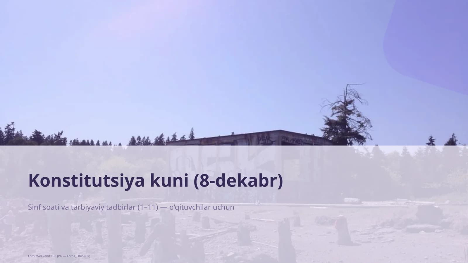 Konstitutsiya kuni (8-dekabr) mavzusi uchun dars rejasi