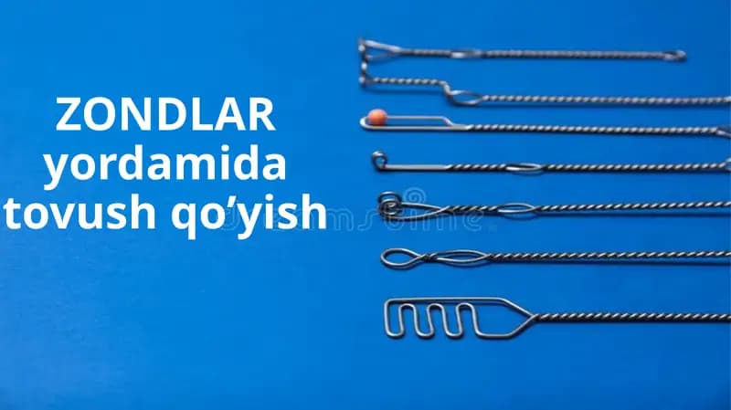 ZONDLAR yordamida tovush qo’yish