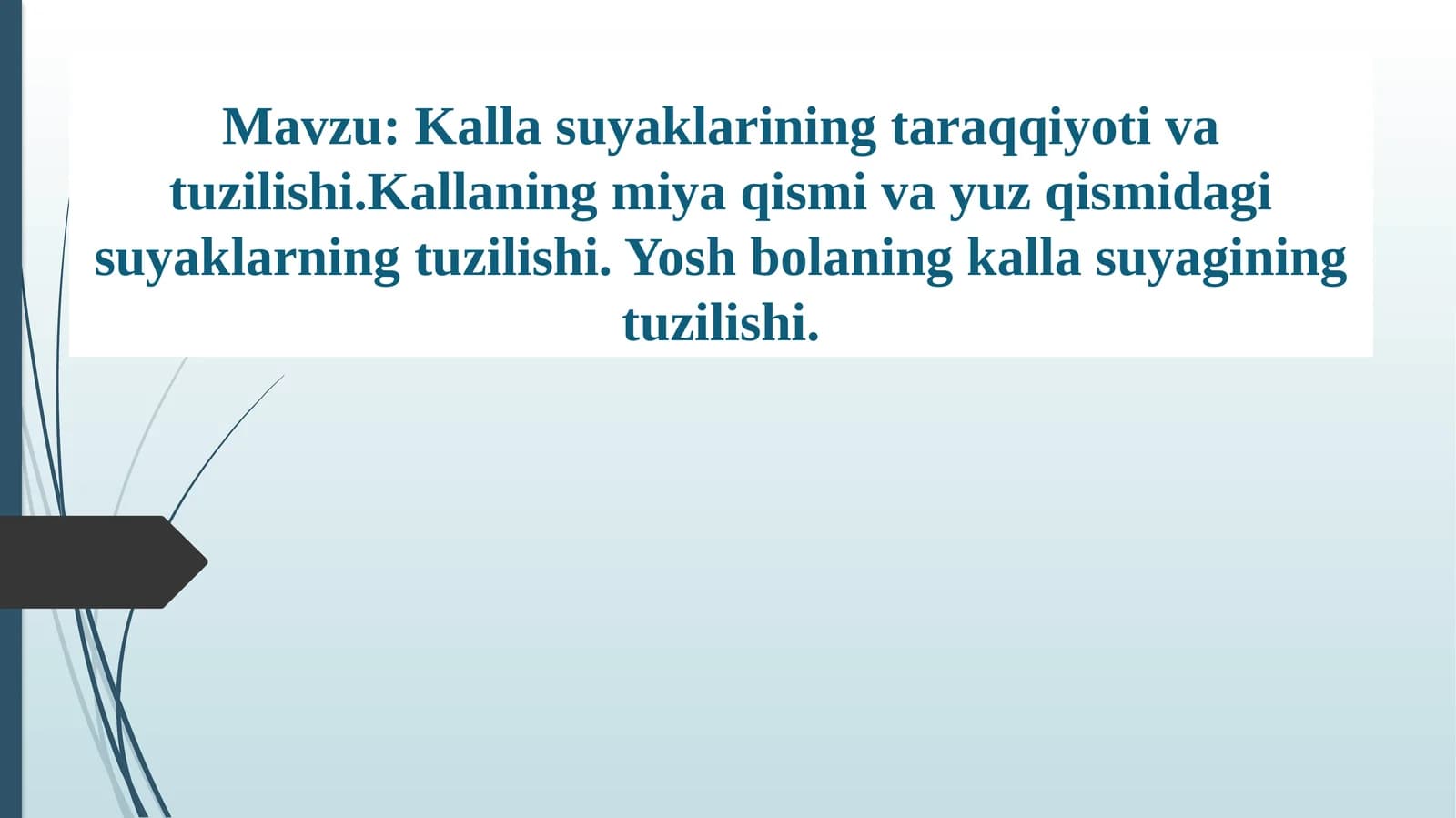 Kallasuyaklarining taraqqiyoti va tuzilishi