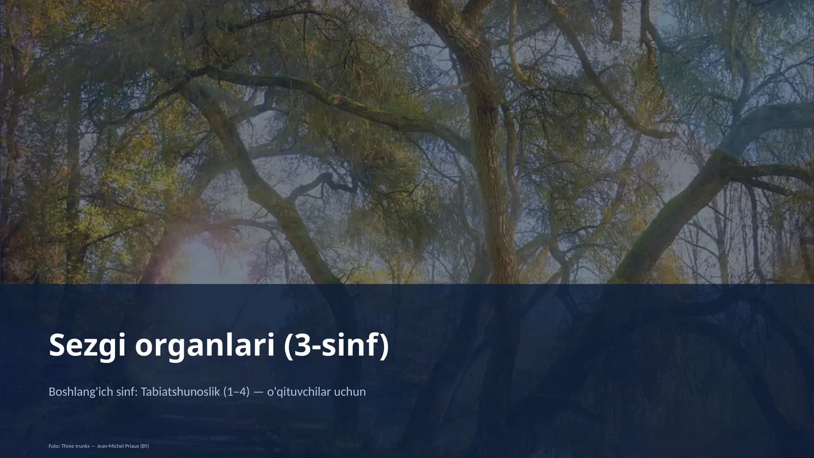 Sezgi organlari (3-sinf)