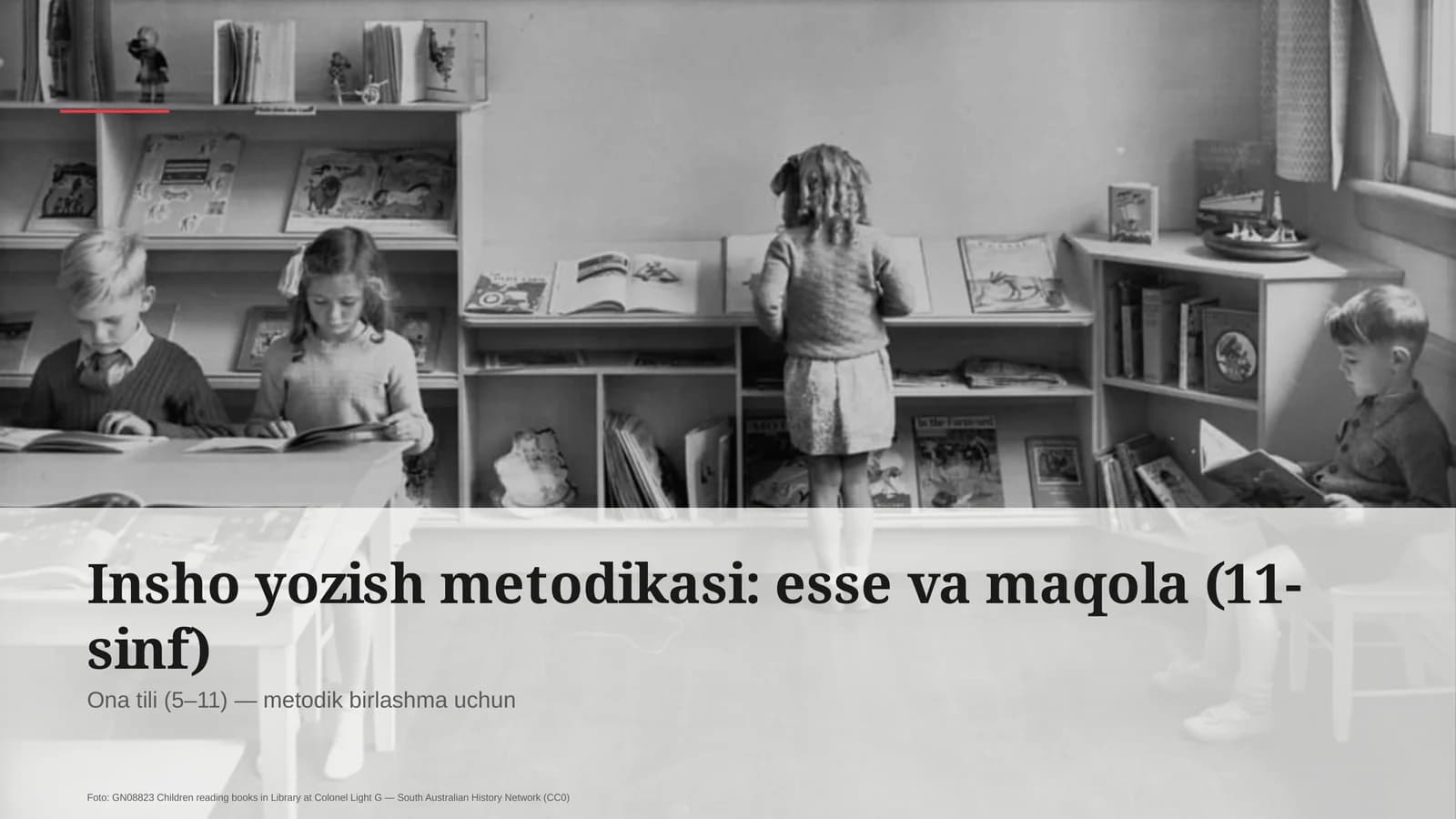 Insho yozish metodikasi: esse va maqola (11-sinf)
