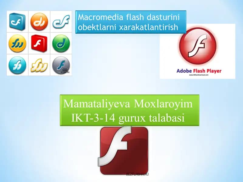 Macromedia Flash Дастири