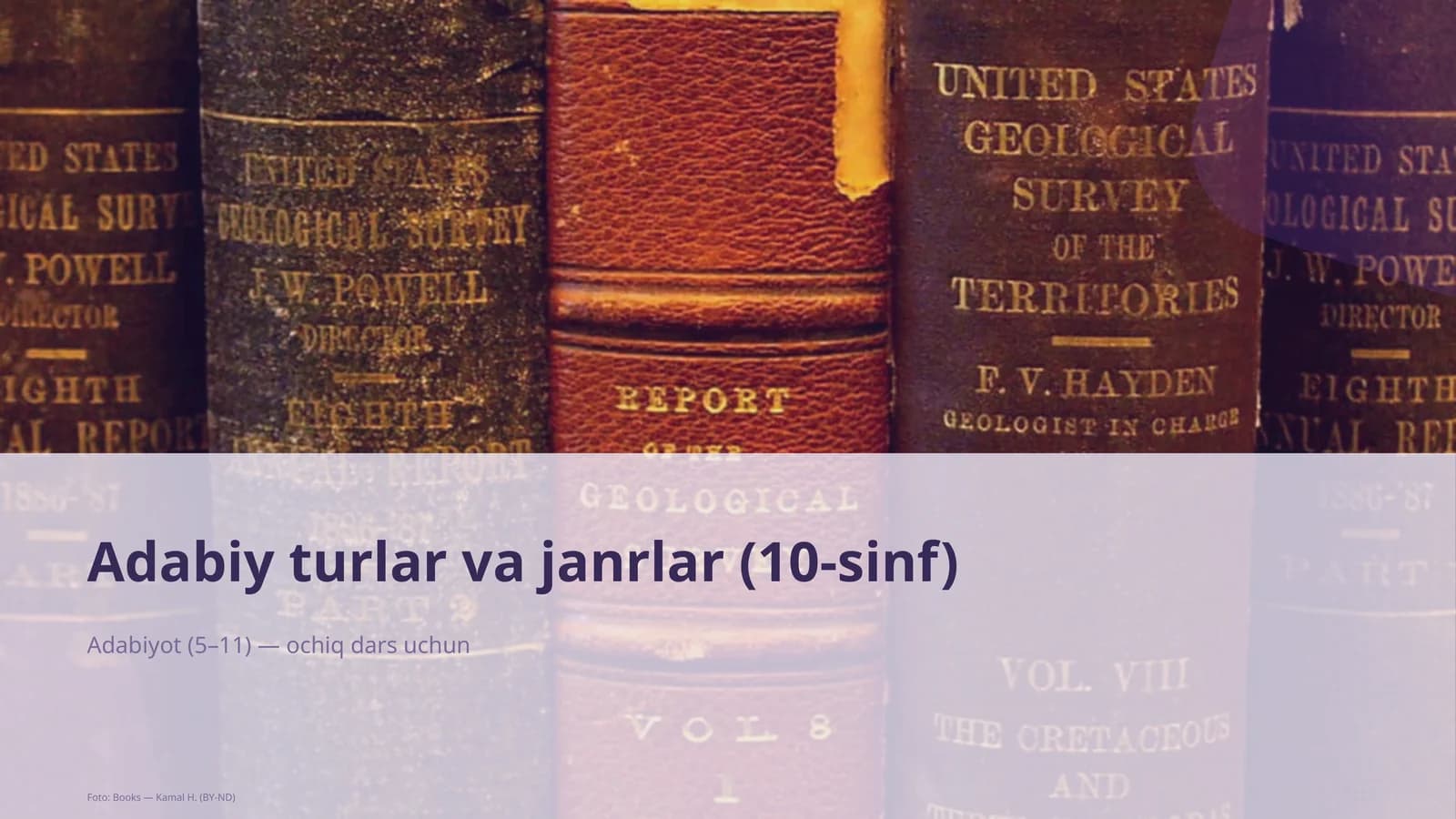 Adabiy turlar va janrlar (10-sinf)