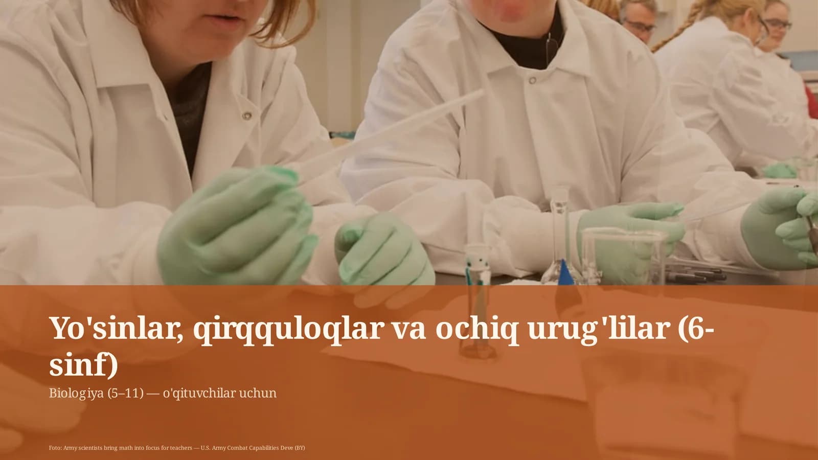 Yo'sinlar, qirqquloqlar va ochiq urug'lilar (6-sinf)