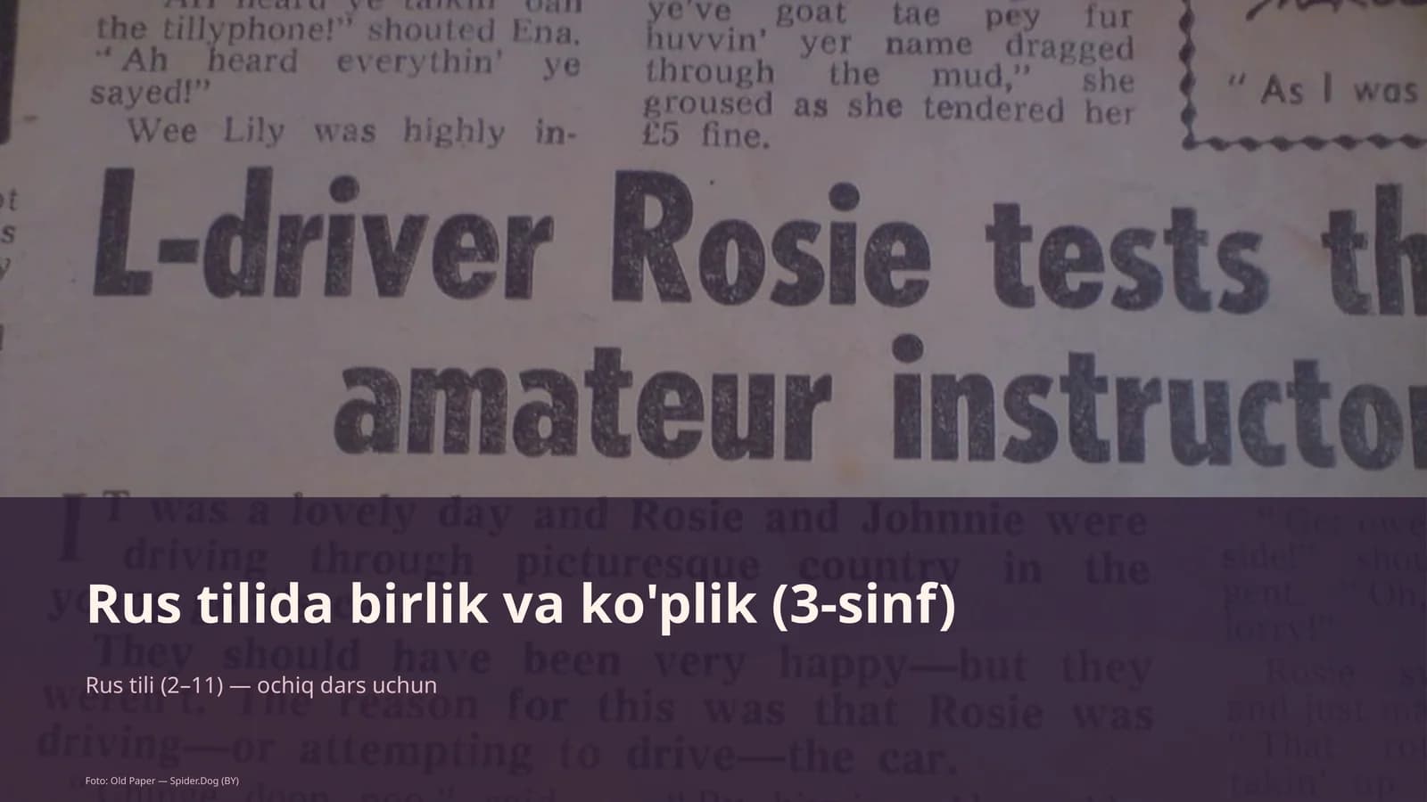 Rus tilida birlik va ko'plik (3-sinf)