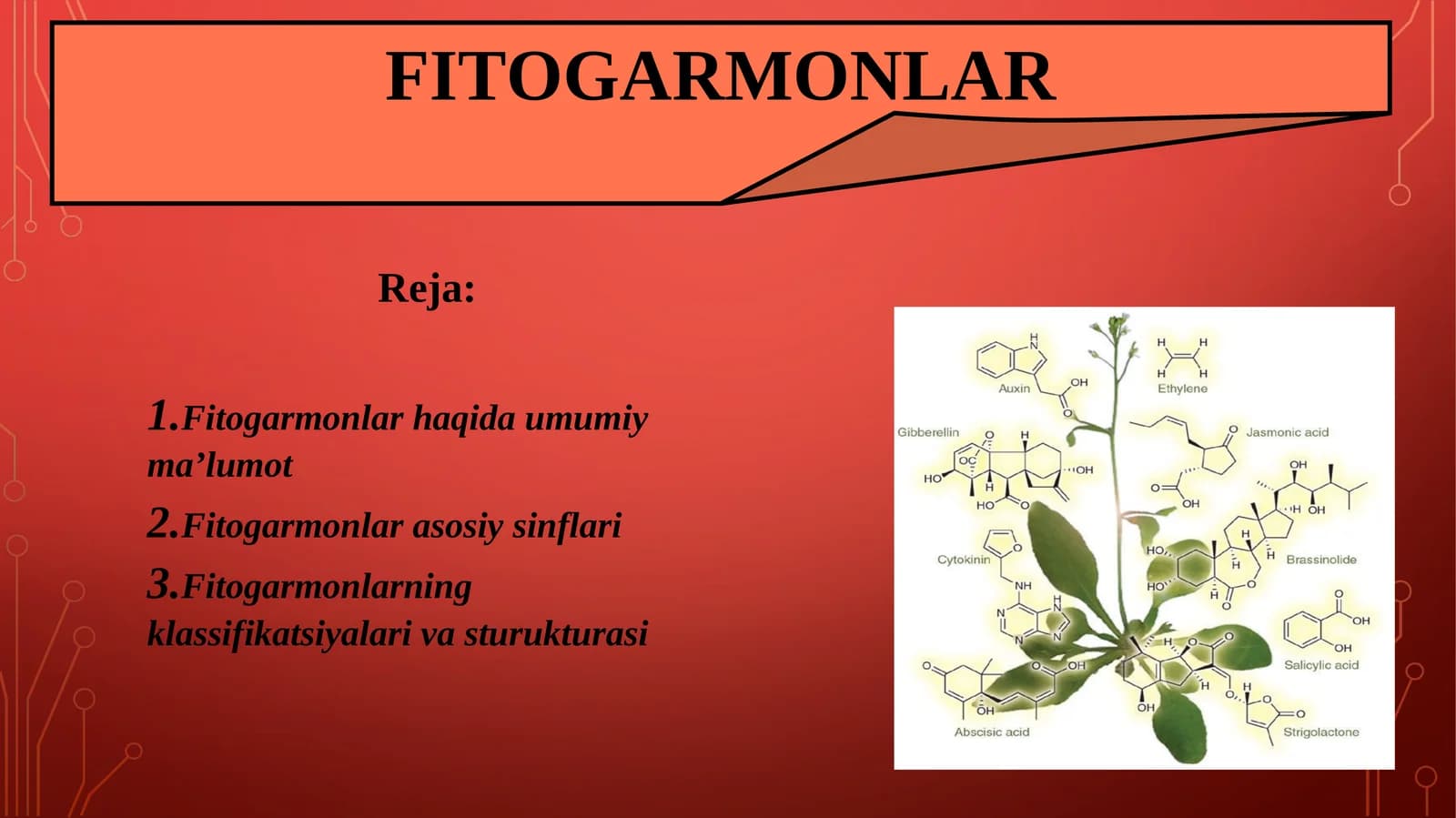 Fitogarmonlar
