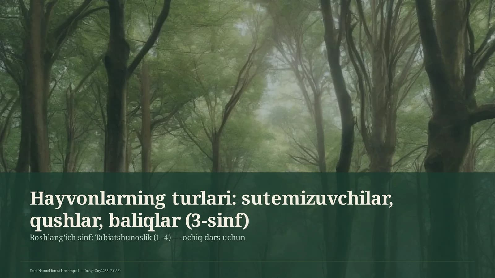 Hayvonlarning turlari: sutemizuvchilar, qushlar, baliqlar (3-sinf)