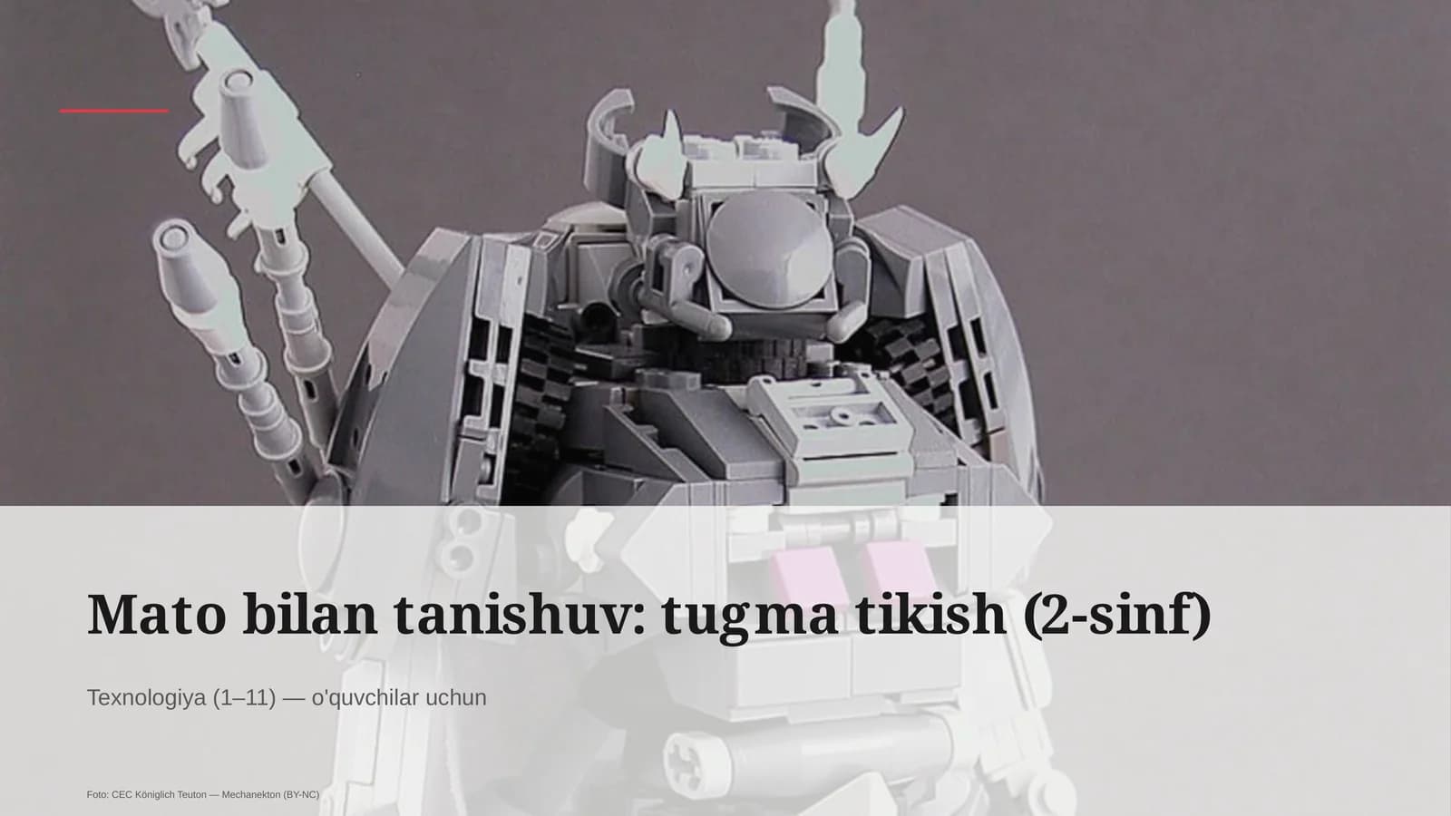 Mato bilan tanishuv: tugma tikish (2-sinf)