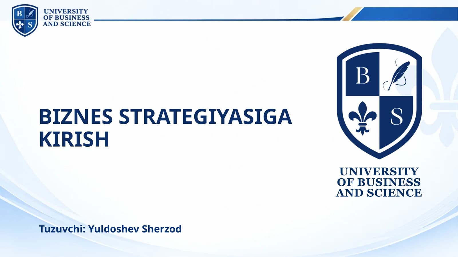 BIZNES STRATEGIYASIGA KIRISH