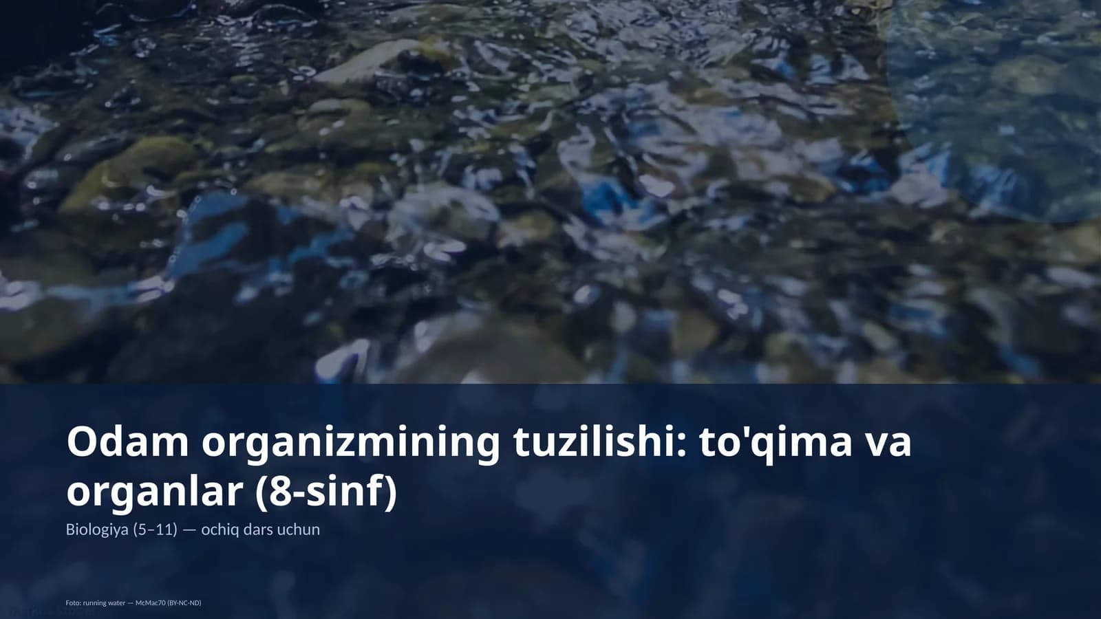 Odam organizmining tuzilishi: to'qima va organlar (8-sinf)