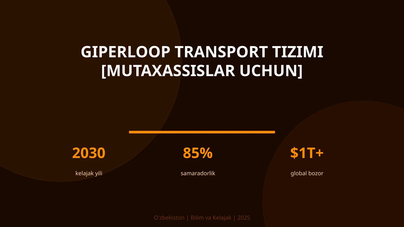 Giperloop transport tizimi [mutaxassislar uchun]